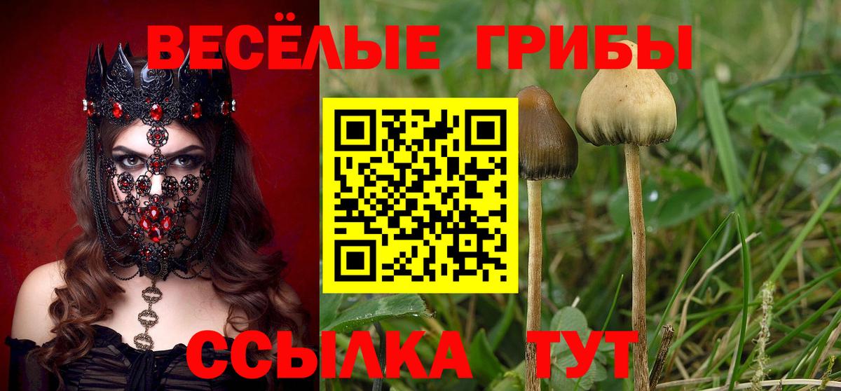 Галлюциногенные грибы мицелий Миасс