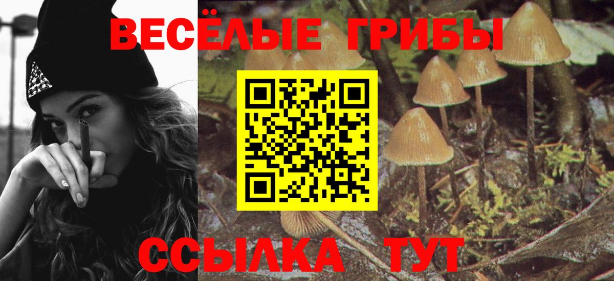 Псилоцибиновые грибы ЛСД  Вход с VPN  Миасс 
